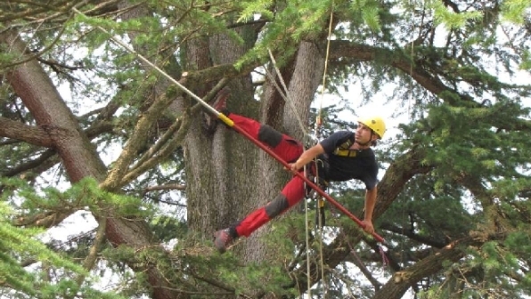 Superalberi.it free climbing alberi piante