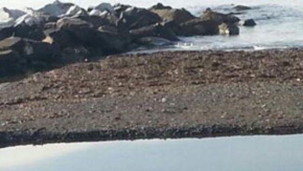 Bari, scivola su uno scoglio e cade in mare: grave bimbo di 3 anni