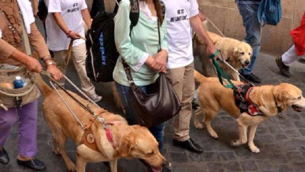 Oristano, cieco respinto dai negozi: "I cani non possono entrare"