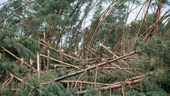 Tempeste nel nord della Polonia: 5 morti, tra cui 2 ragazzine scout