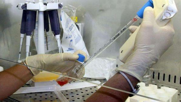 Scoperte le staminali dei polmoni, si trovano negli alveoli