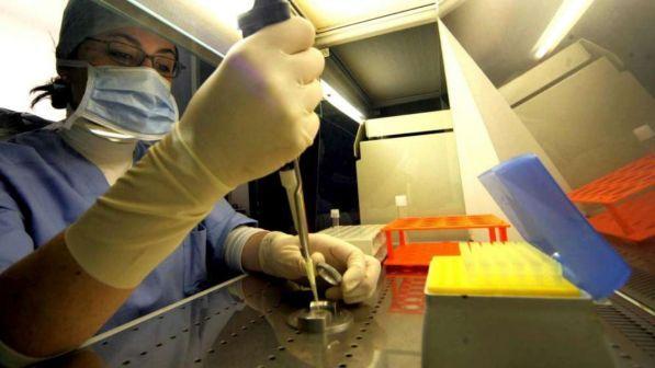 Fecondazione eterologa, sì condizionato del Consiglio di Stato alle donazioni