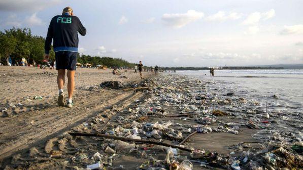 Allarme plastica, Wwf: "Ogni settimana ne mangiamo cinque grammi: quanto una carta di credito"