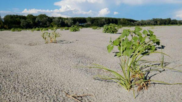 Clima, giugno 2019 il più caldo mai registrato | Antartide, i ghiacci si stanno sciogliendo a tempo di record
