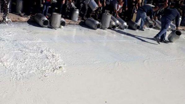 Latte, già violata la tregua: nuovo blitz a una cisterna a Oristano