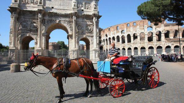 "Botticelle" e carrozze nelle città, spariti i divieti attesi dagli animalisti