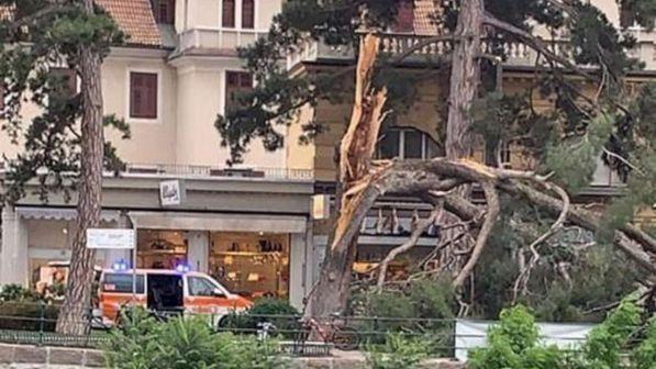 Crolla albero a Merano, gravissimi mamma e figlio
