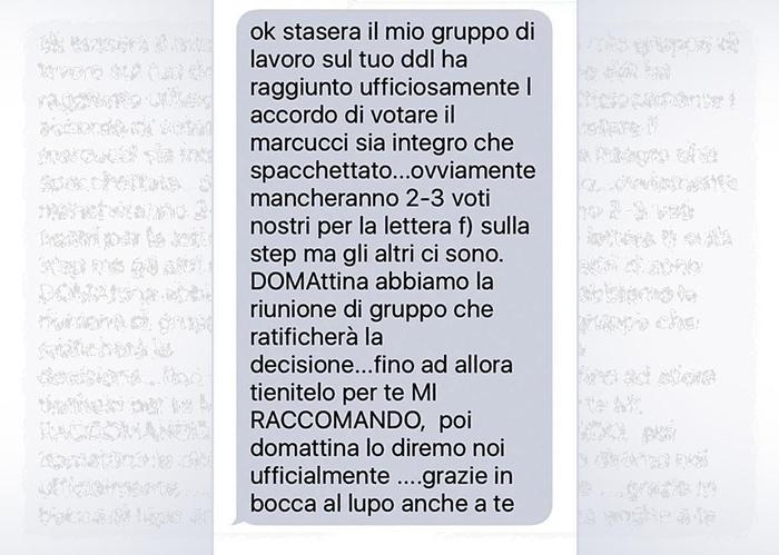 Airola e il sì al canguro: il mio sms non era la posizione ufficiale del M5S