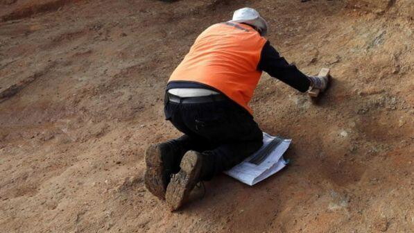 Scoperto nelle Filippine un nuovo parente di Homo Sapiens