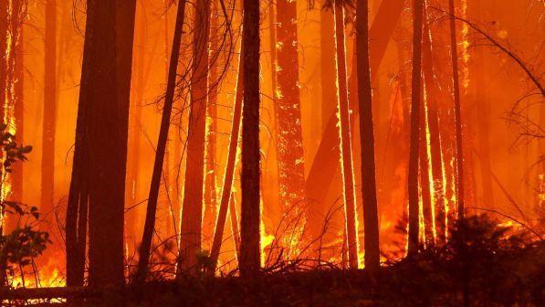 Incendi California, autorità: "Sale a 2 morti il bilancio vittime"
