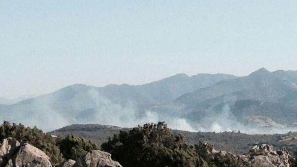 Incendi Sardegna, la Regione dichiara lo stato di emergenza
