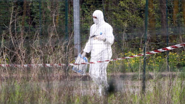 Verona, cadavere giovane donna in un campo: non si esclude omicidio