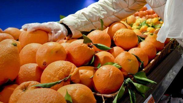 "Earth Overshoot Day" e le risorse del Pianeta, le date della fine del mondo per il 2018