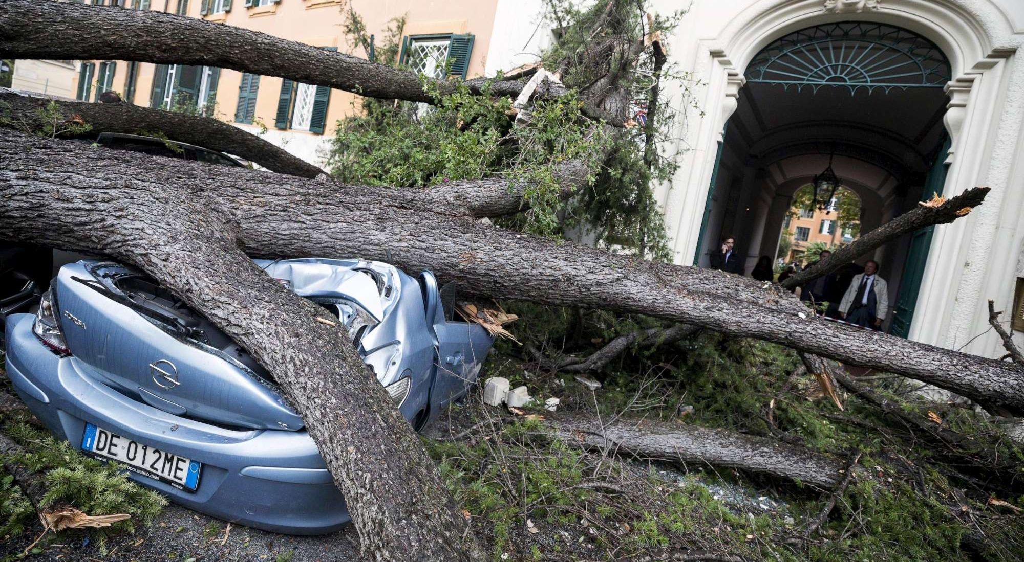 Maltempo flagella l'Italia: 6 i morti | Alberi caduti e danni da Nord a Sud
