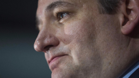 Usa 2016, Ted Cruz vince in Idaho