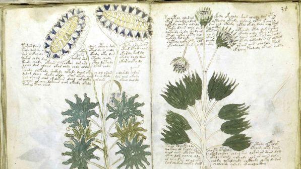 Il manoscritto Voynich non ha più segreti: decifrato il codice del libro più misterioso del mondo