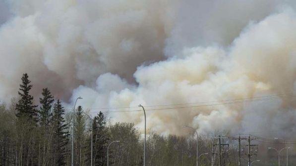 Cile, a fuoco migliaia di ettari di foresta: almeno dieci morti
