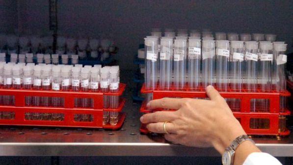 Canada, ginecologo mette incinte decine di pazienti a loro insaputa