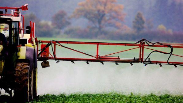 Usa, concesso uso pesticida legato a malattie dei bambini