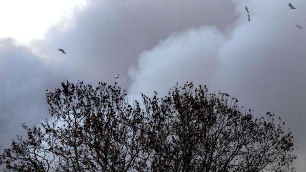 Fiamme in un deposito rifiuti, alta colonna di fumo nel Vercellese