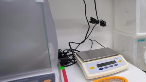 Colombia, microcefalia da Zika