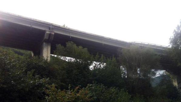 Bus in scarpata Acqualonga: la Procura ricorre contro le assoluzioni
