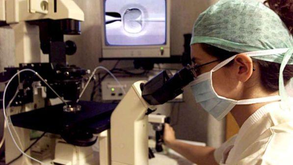 Coppie gay, Consulta: non è illegittimo il divieto di procreazione assistita