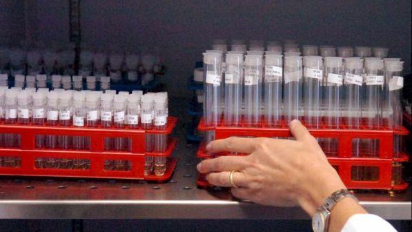 Genova, esami medici gratis per amici e parenti: 2.300 indagati