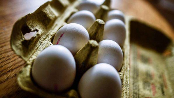 Uova al fipronil, 6 stabilimenti nel mirino delle autorità francesi