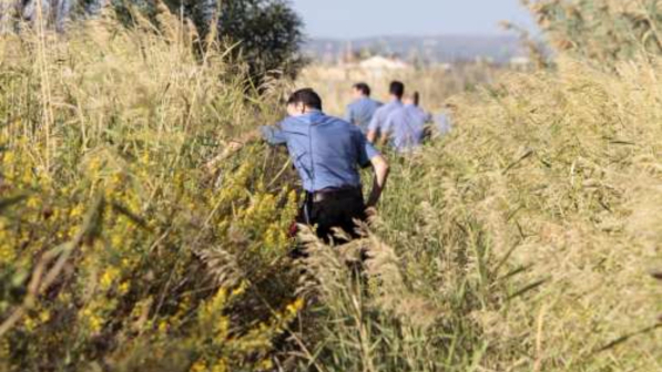 Anziano trovato morto in un campo nel Viterbese: è omicidio