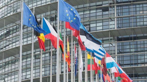 Pesticidi, Parlamento Ue chiede procedure trasparenti sul glifosato