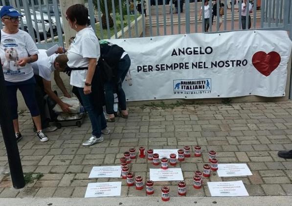 Calabria, seviziarono e uccisero un cane: condannati a un anno e quattro mesi