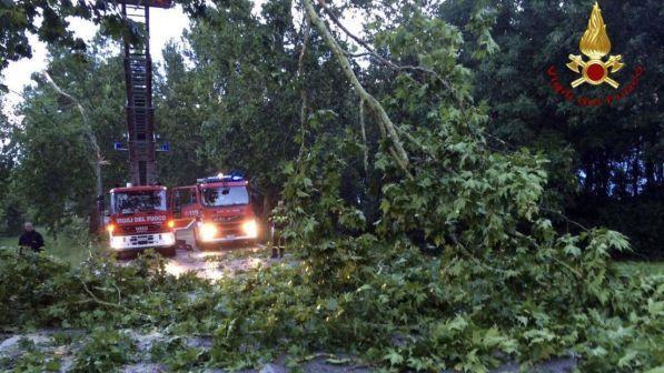 Tromba d'aria in Valtellina, oltre 12mila gli alberi abbattuti