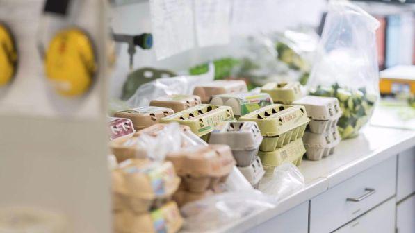Fipronil, in Francia contaminate anche pasta e patate