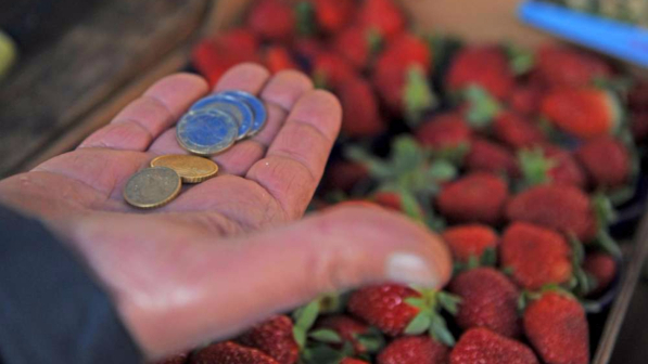 C'è grossa crisi: 24 milioni di italiani tirano la cinghia su tutto