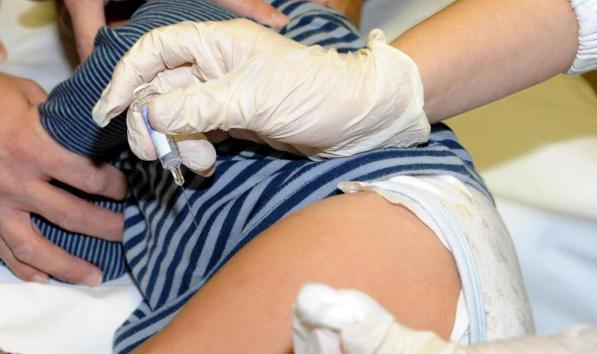 Brasile, allarme febbre gialla: 40 vittime dall'inizio del 2017