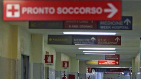 Cagliari: morso da ragno "violino", muore dopo tre mesi di agonia
