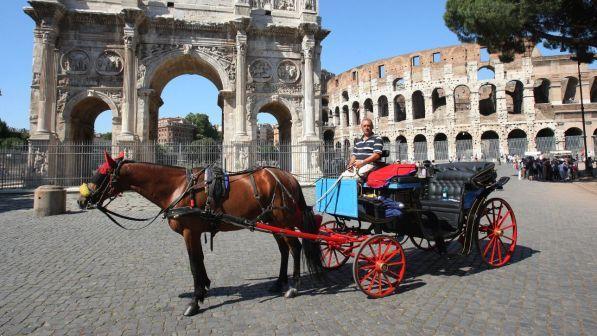 Stop alle botticelle in città, approvato emendamento in commissione | M5s: "Avanti così" | Pd e Fi: "Nostra vittoria"