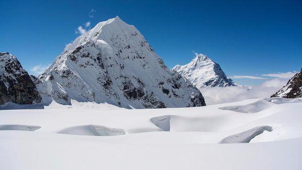 Crolla il mito dello Yeti, ossa e peli ritrovati in Tibet e Nepal appartengono agli orsi