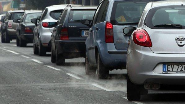 Smog, Coldiretti: "Arrivano gli alberi mangia polveri"