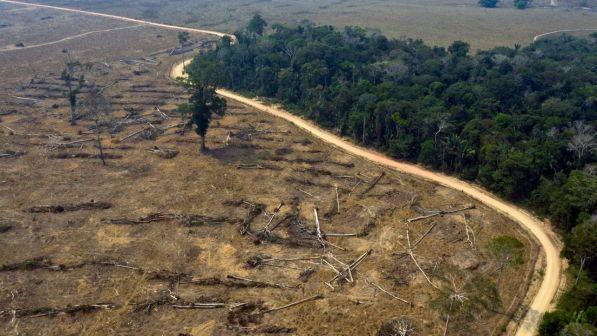 Amazzonia, ministro Brasile: "Macron opportunista imbroglione"