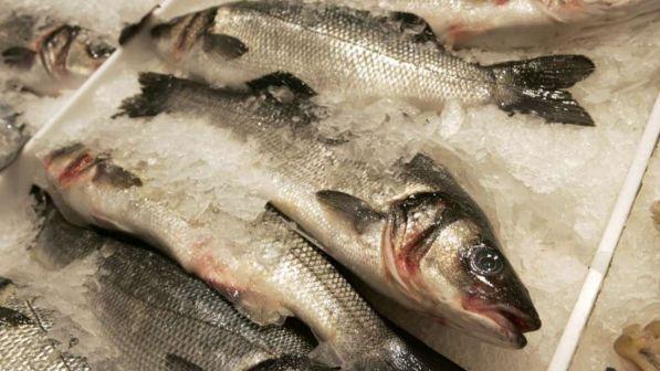 Tra poco esauriremo le scorte italiane di pesce