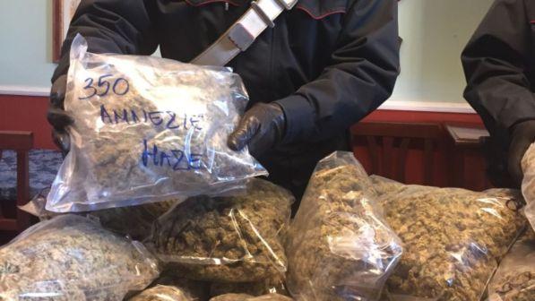 Torino,fermato pusher di Natale:un quintale di marijuana nel furgone