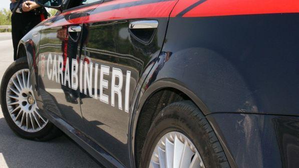 Sassari, torna a casa e trova i suoi cagnolini di appena un anno impiccati: "Uccisi per vendetta"