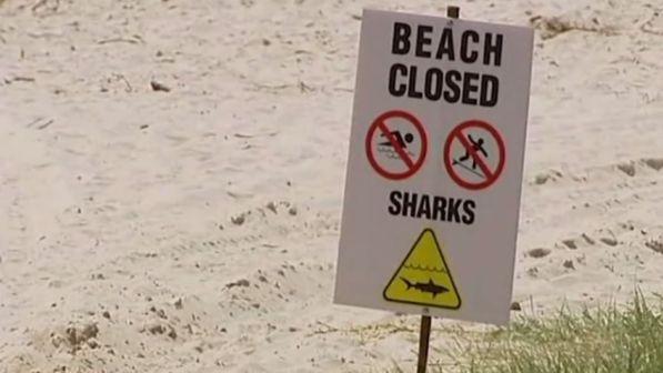 Australia, surfista morso da squalo scaccia il predatore a colpi di tavola