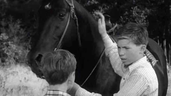 Addio a Bobby Diamond: era il piccolo Joey in "Furia"