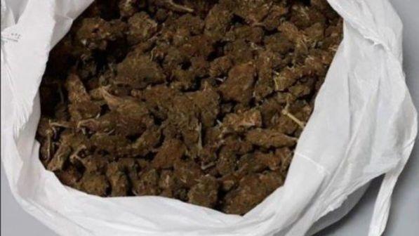 Maxi furto al Lucca Comics: rubate 6mila buste di cannabis legale