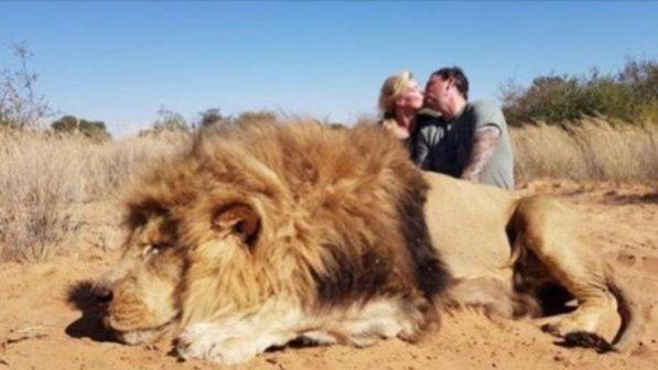 Sudafrica, il bacio dei due cacciatori dietro la carcassa del leone ucciso