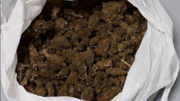 Canada, approvata la legalizzazione della marijuana per uso ricreativo