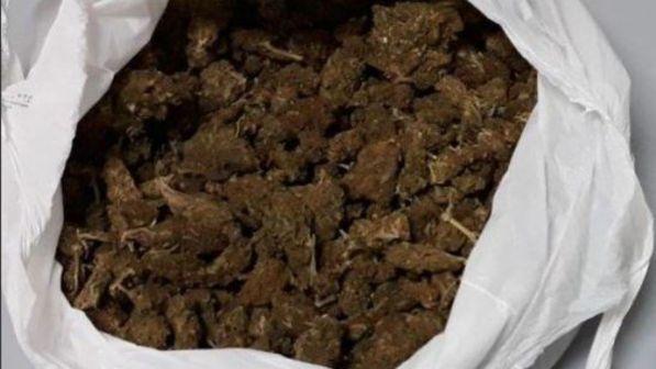 Canada, via libera della Camera alla legalizzazione della marijuana
